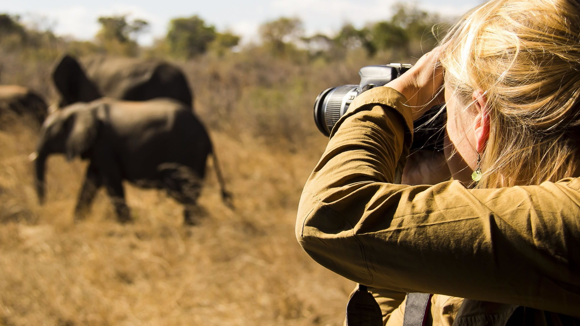 12 days photographic safari