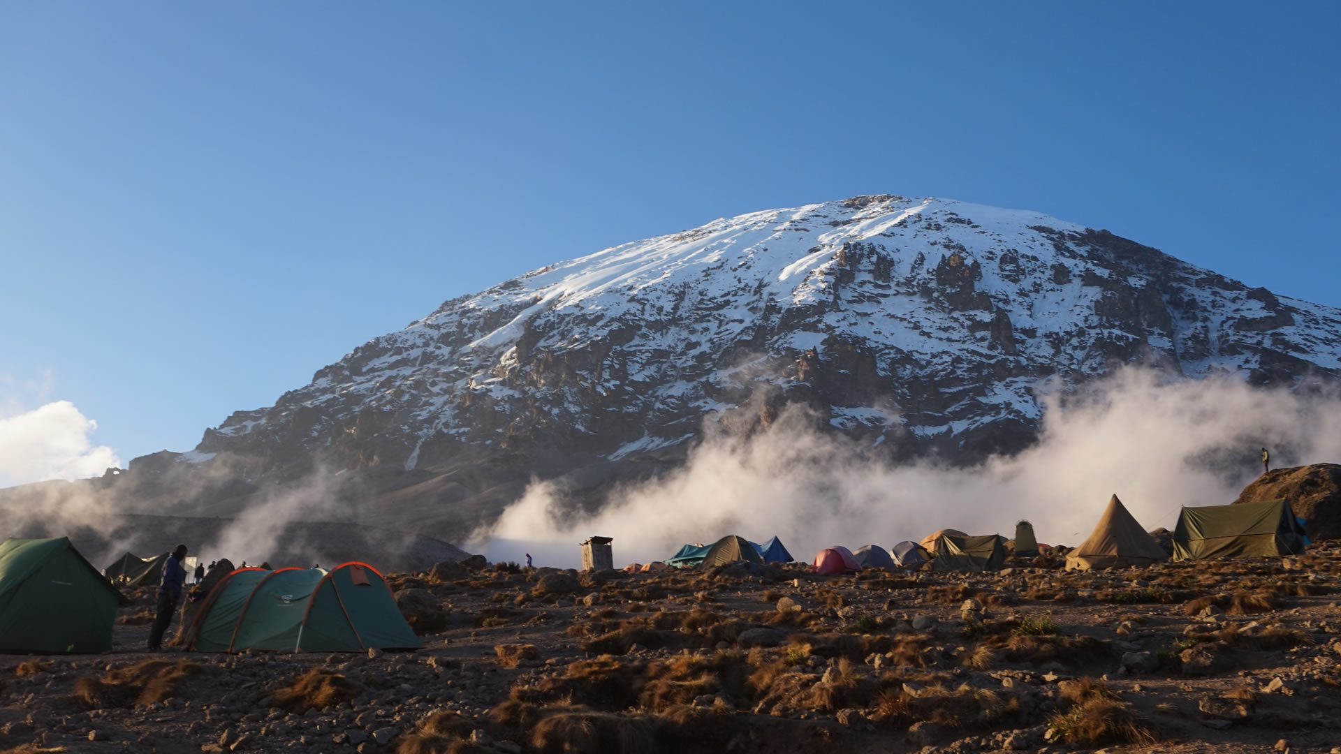 7 Days Mount Kilimanjaro Climbing - Shira Route